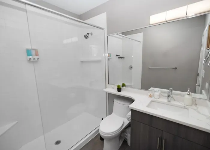 Little Italy 5br With Optional Parking Apartment Chicago